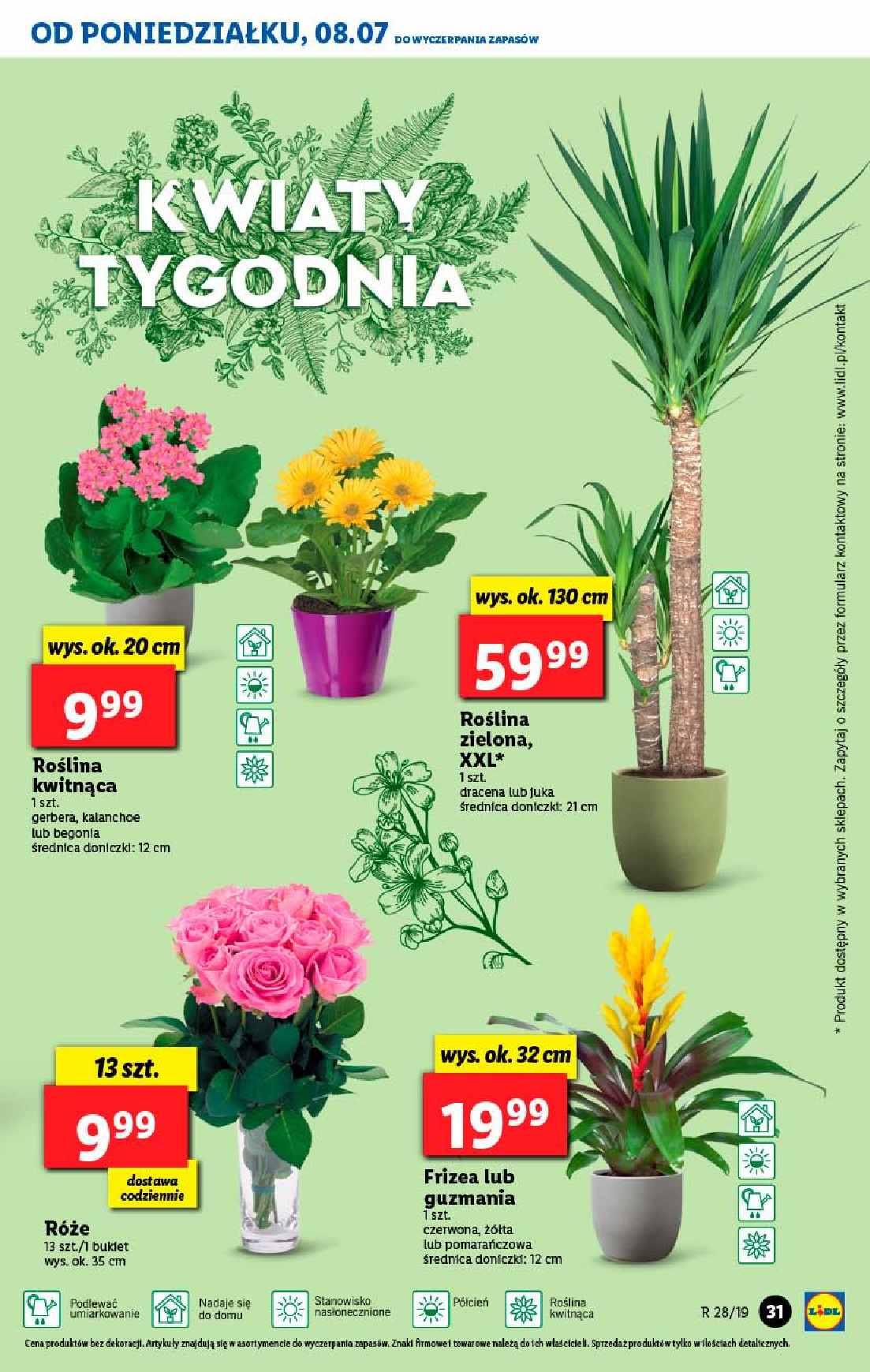 Gazetka promocyjna Lidl str. 31
