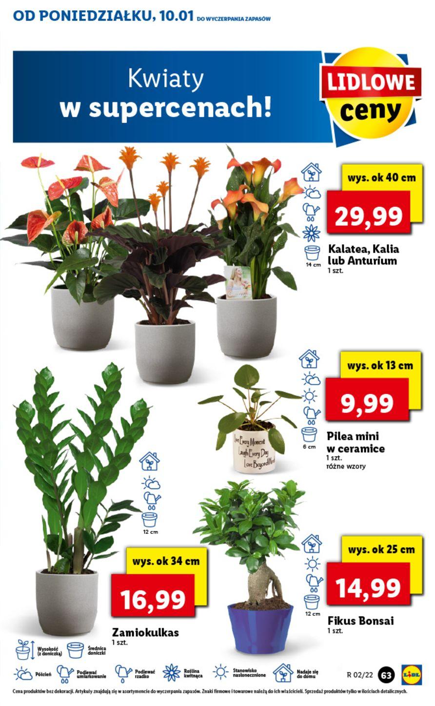 Gazetka promocyjna Lidl str. 63