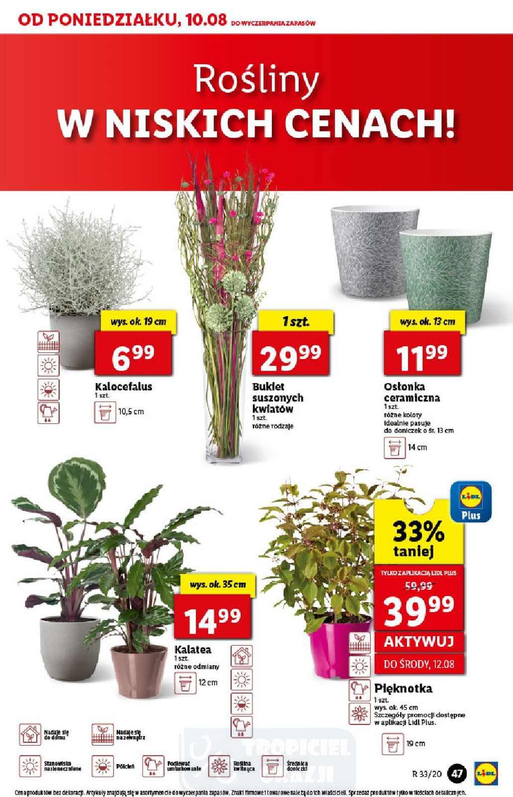 Gazetka promocyjna Lidl str. 47