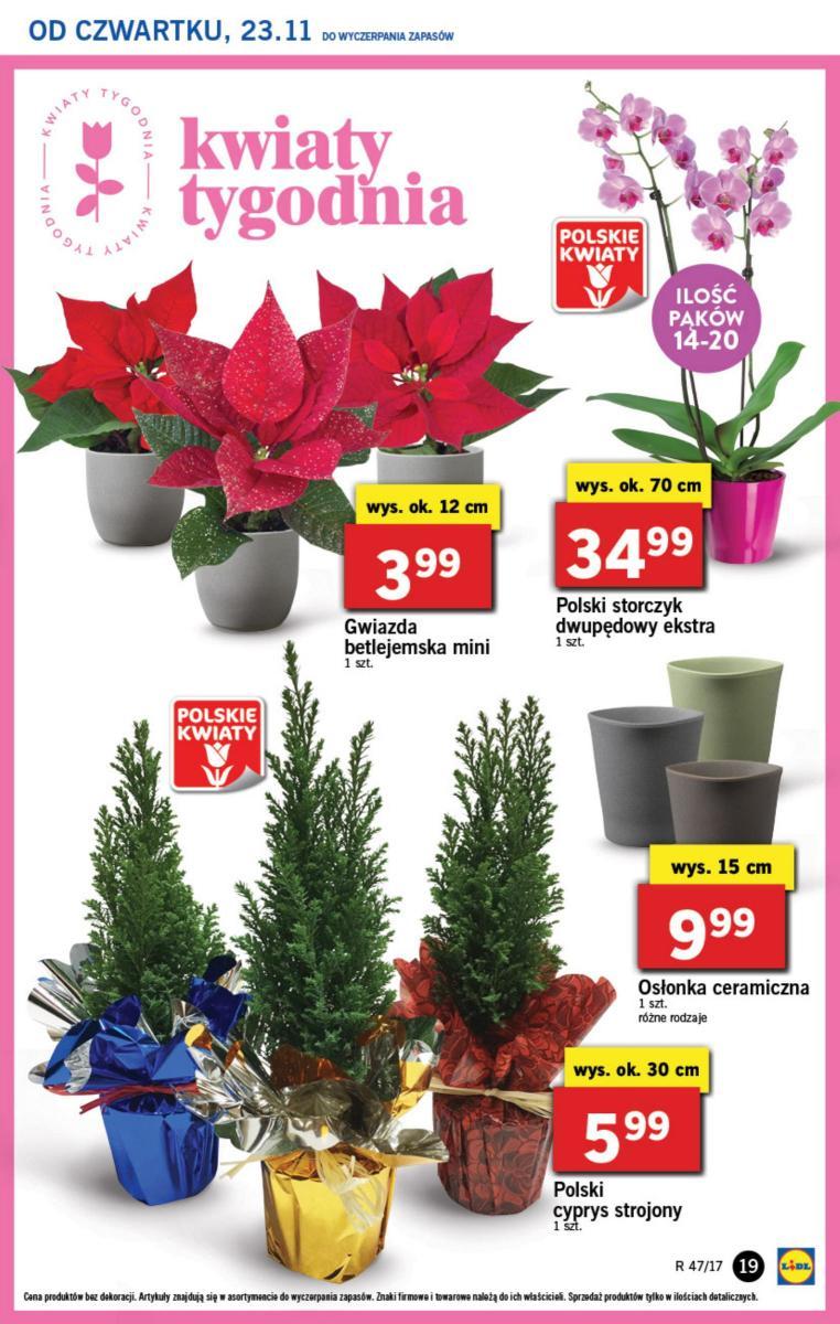 Gazetka promocyjna Lidl str. 19