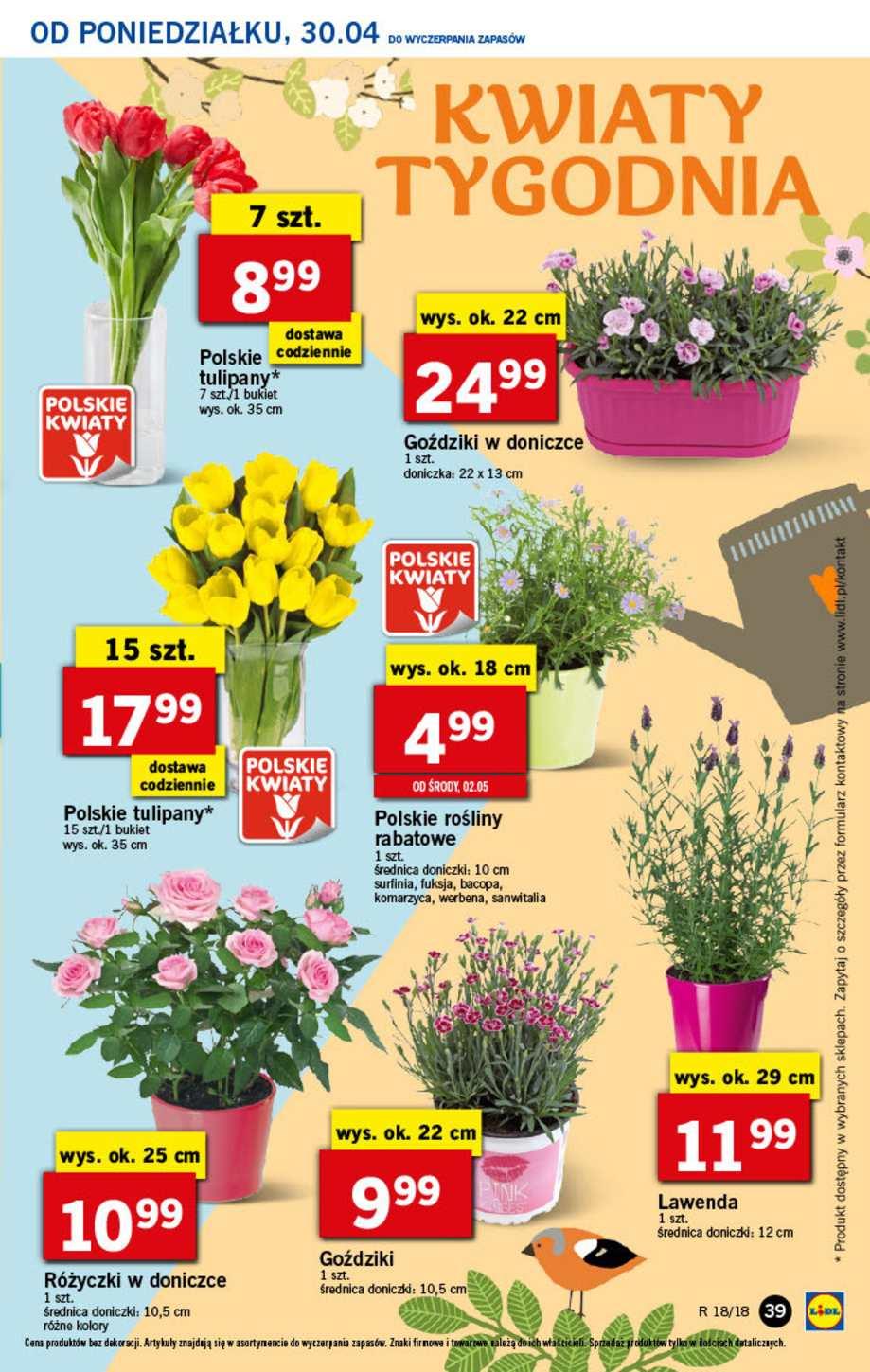 Gazetka promocyjna Lidl str. 39