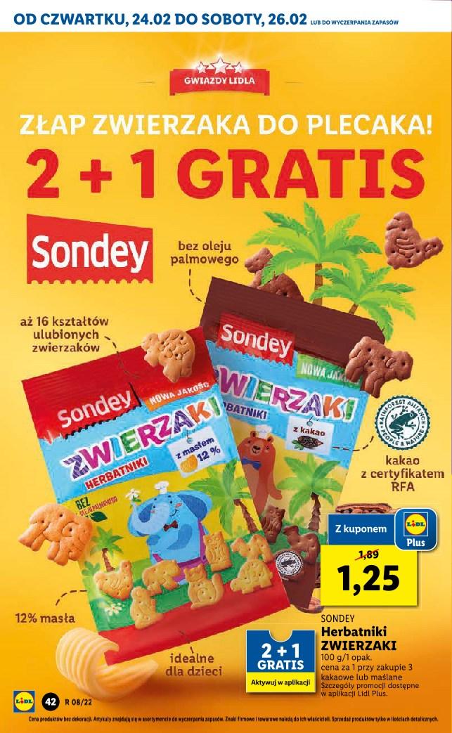 Gazetka promocyjna Lidl str. 42