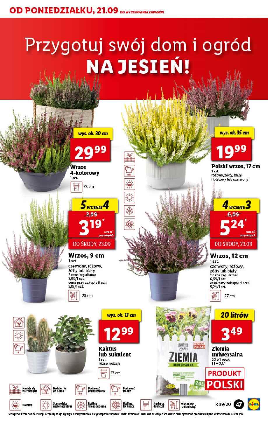 Gazetka promocyjna Lidl str. 47