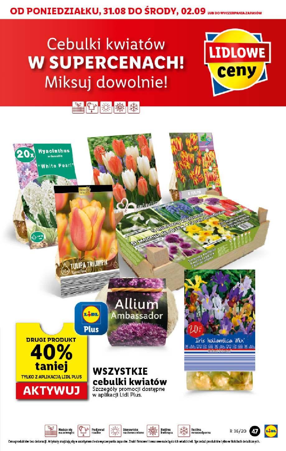 Gazetka promocyjna Lidl str. 47
