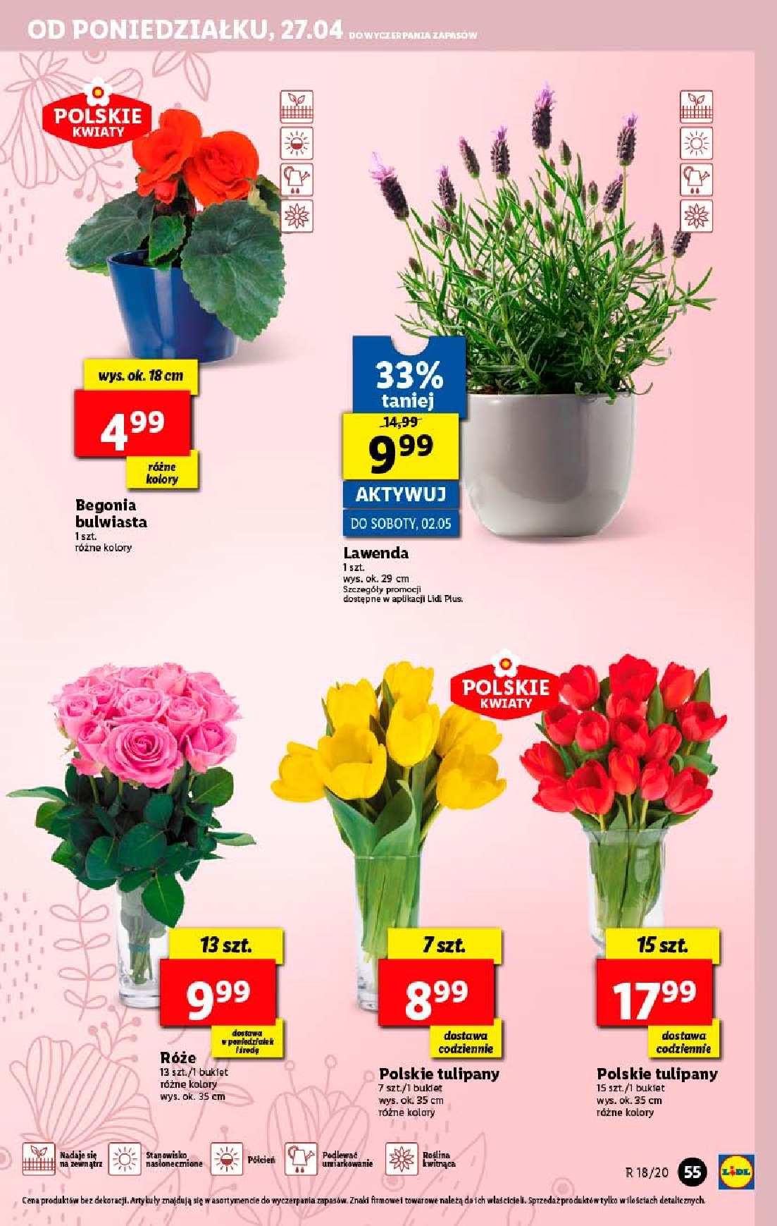 Gazetka promocyjna Lidl str. 55