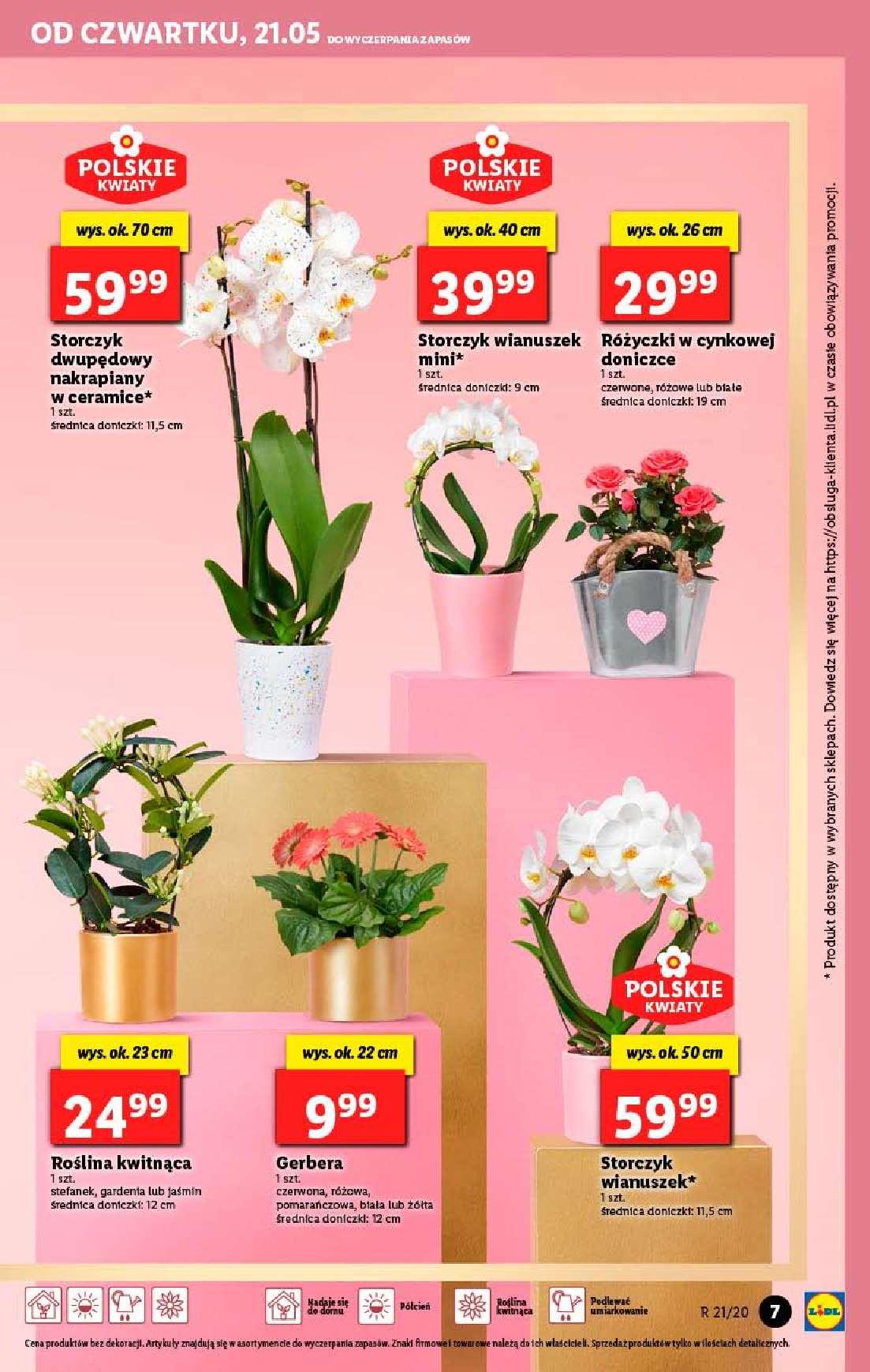 Gazetka promocyjna Lidl str. 7