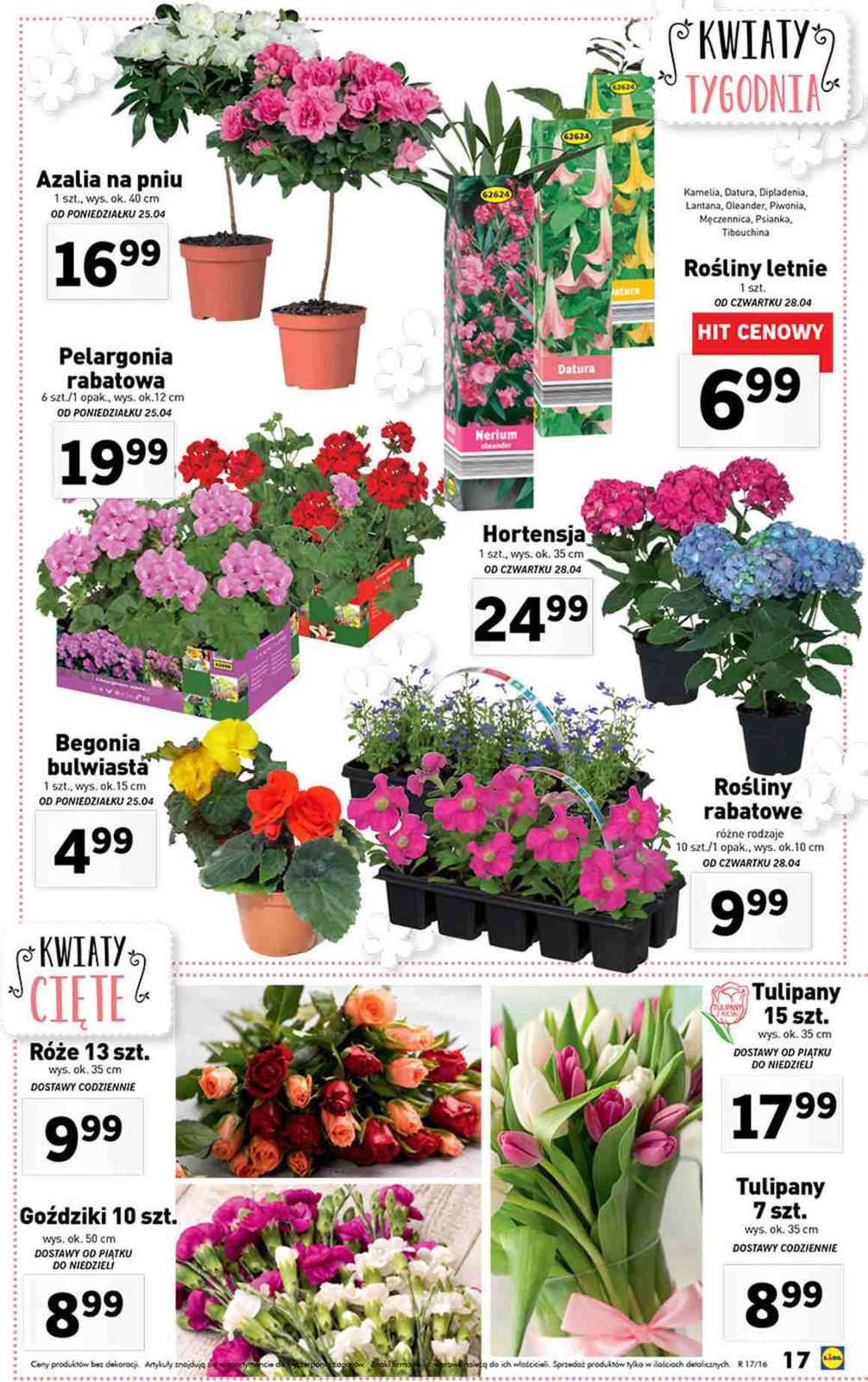 Gazetka promocyjna Lidl str. 17