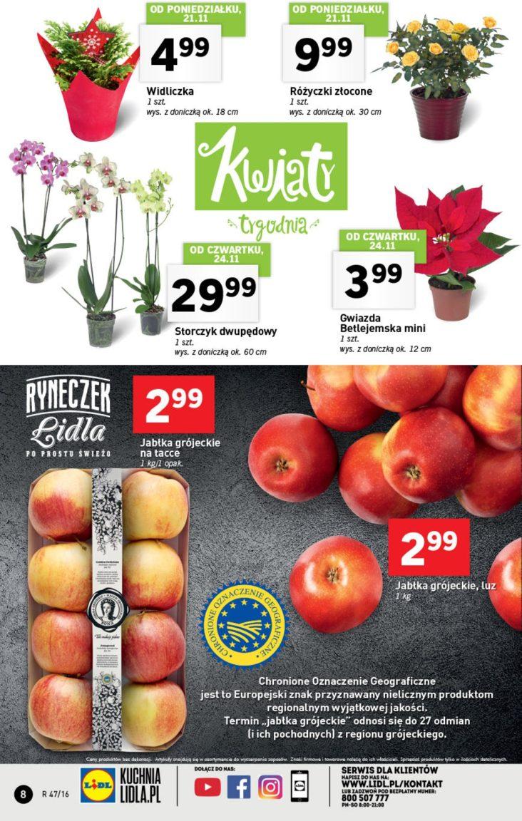 Gazetka promocyjna Lidl str. 8
