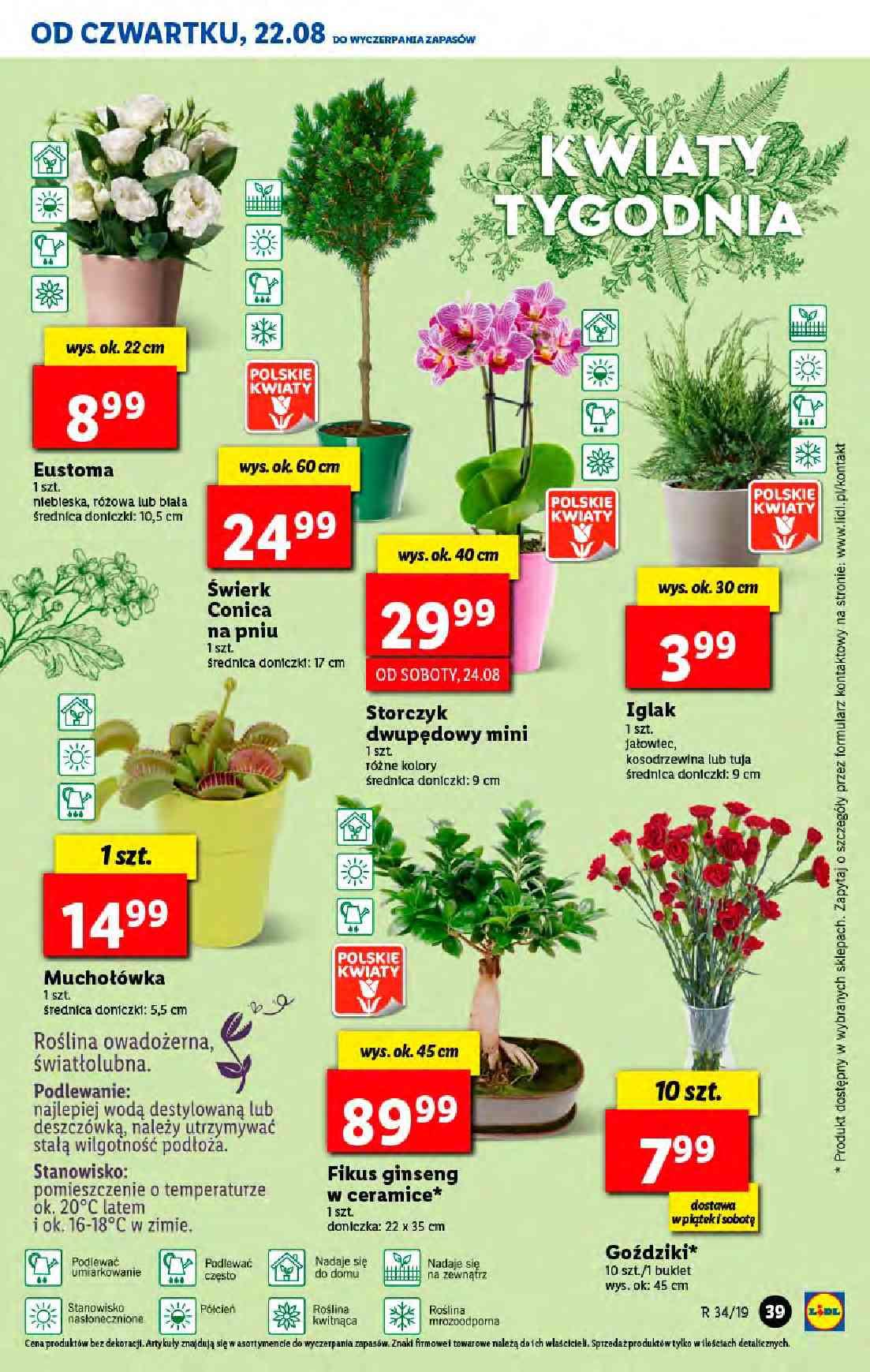 Gazetka promocyjna Lidl str. 39