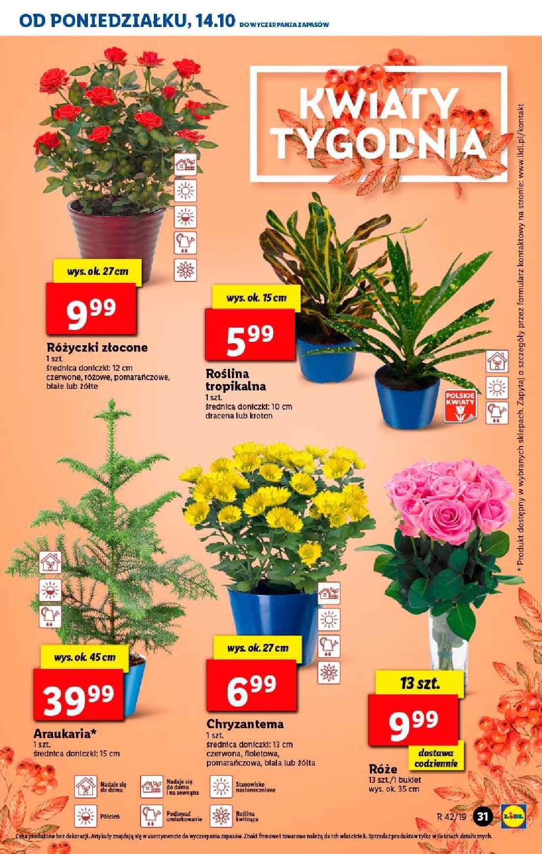 Gazetka promocyjna Lidl str. 31