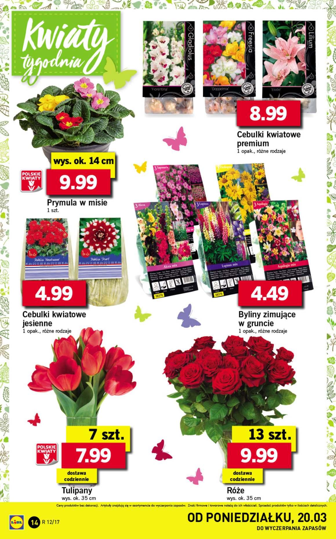 Gazetka promocyjna Lidl str. 14