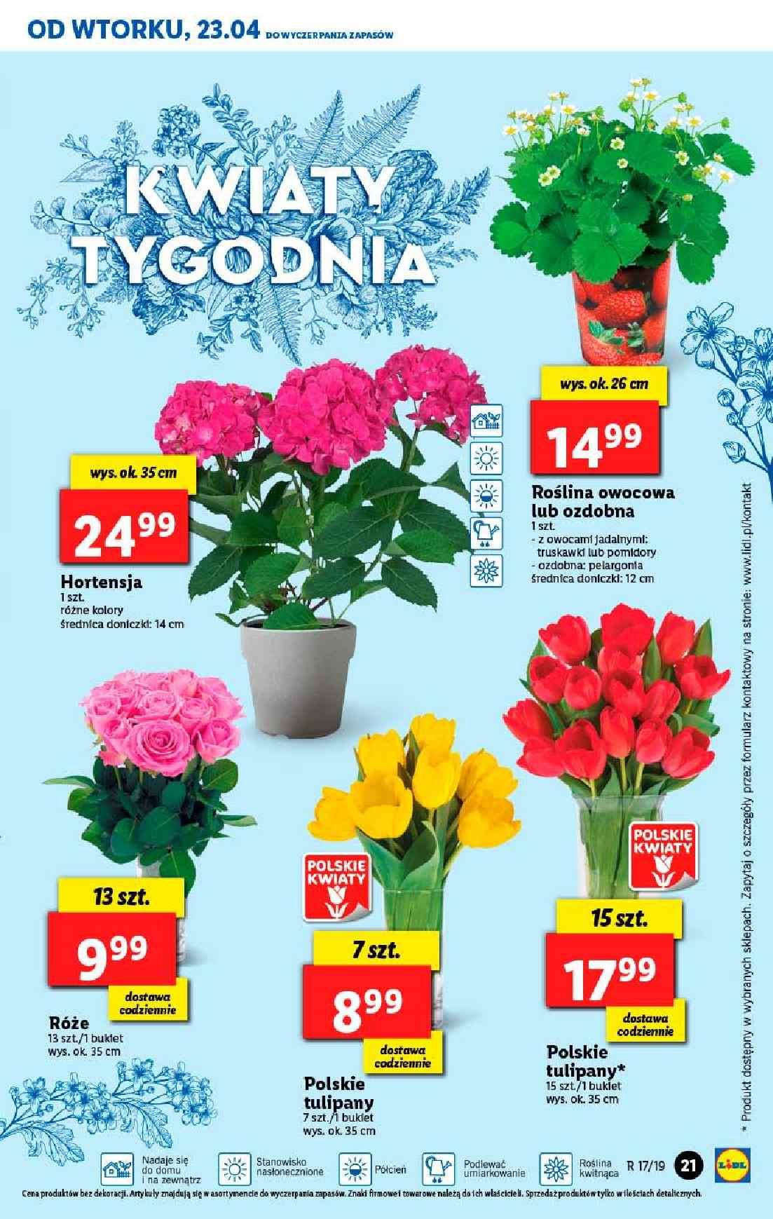 Gazetka promocyjna Lidl str. 21