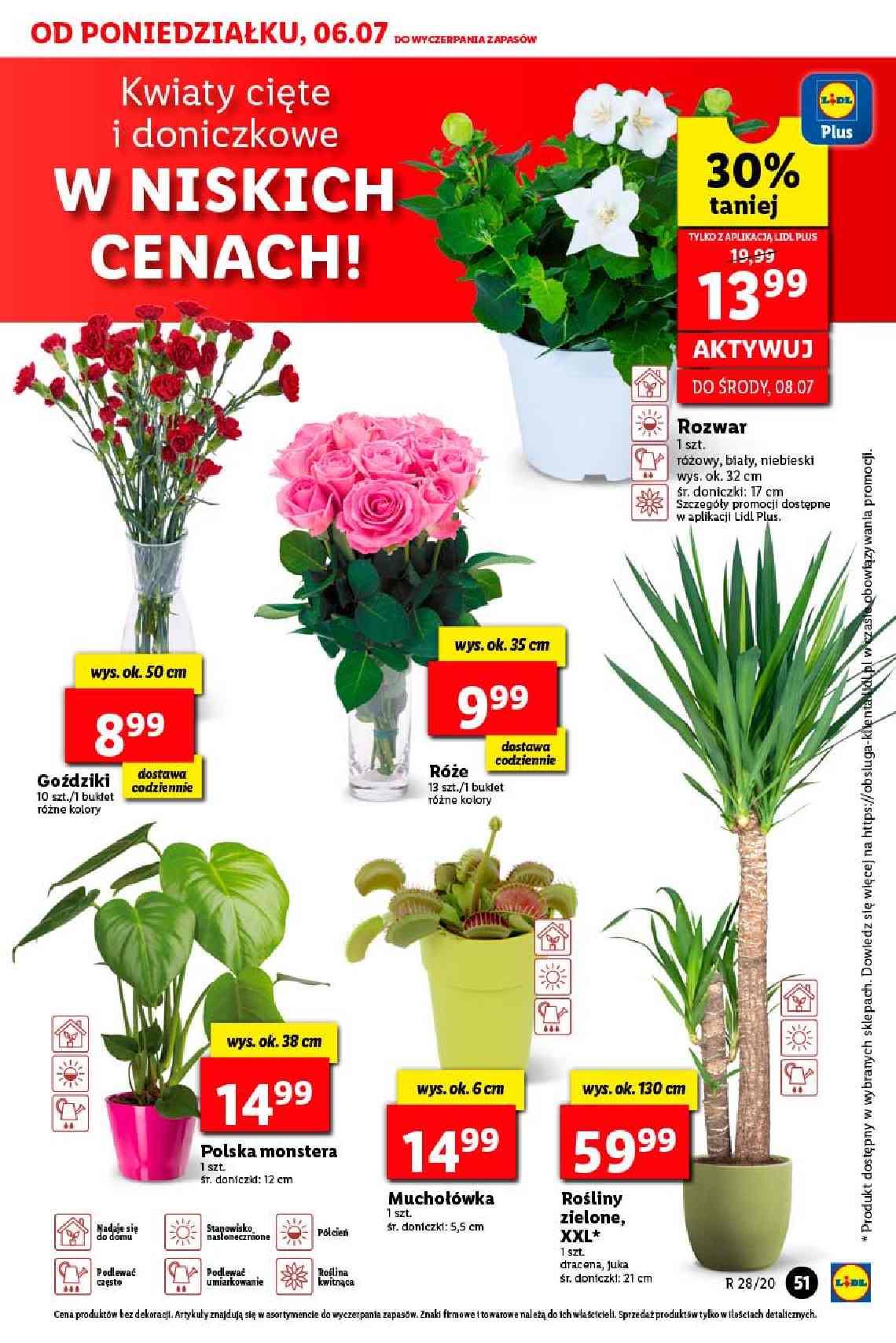 Gazetka promocyjna Lidl str. 51