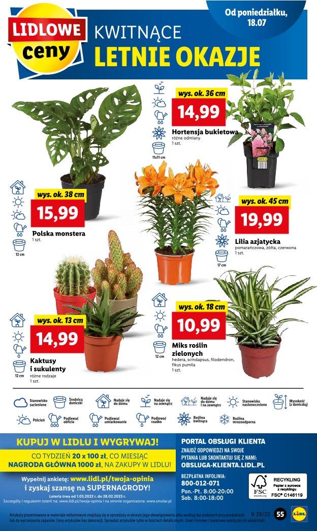 Gazetka promocyjna Lidl str. 55