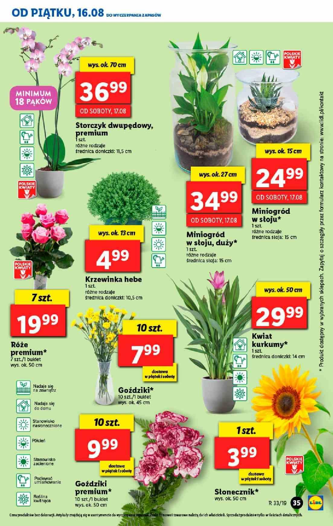 Gazetka promocyjna Lidl str. 35