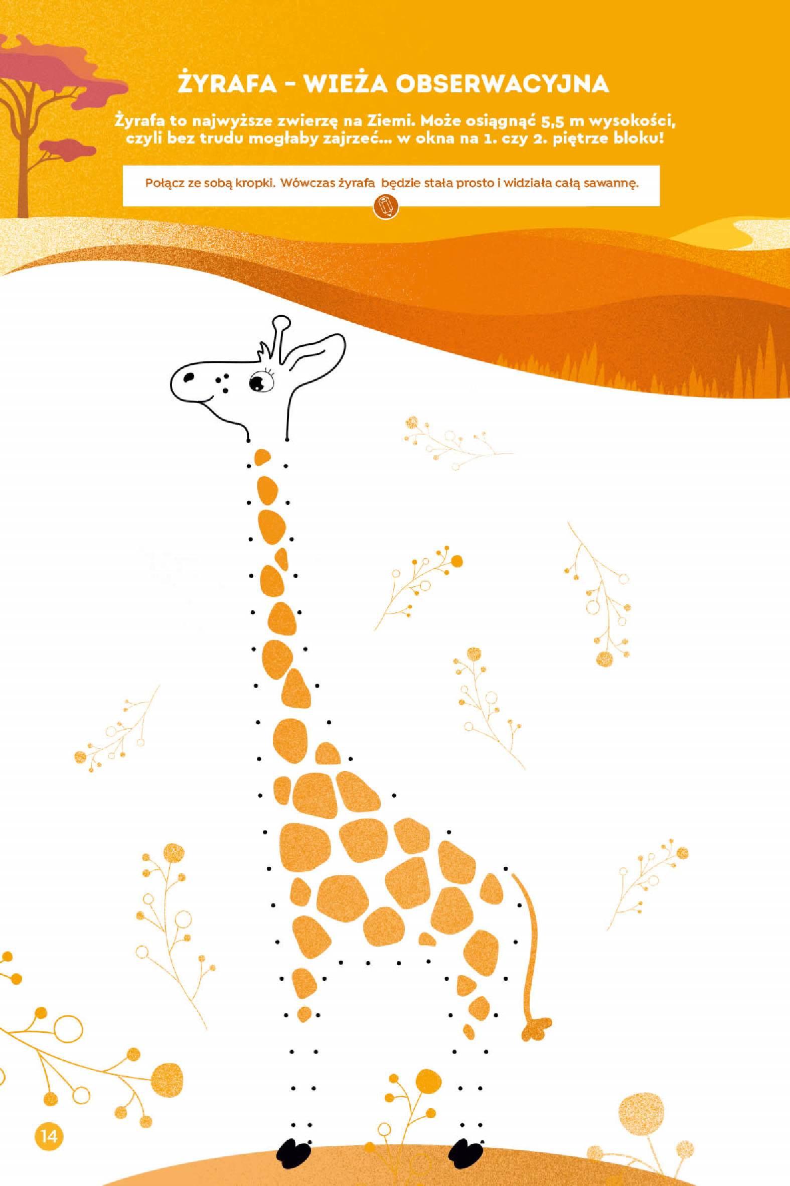 Gazetka promocyjna Lidl str. 5