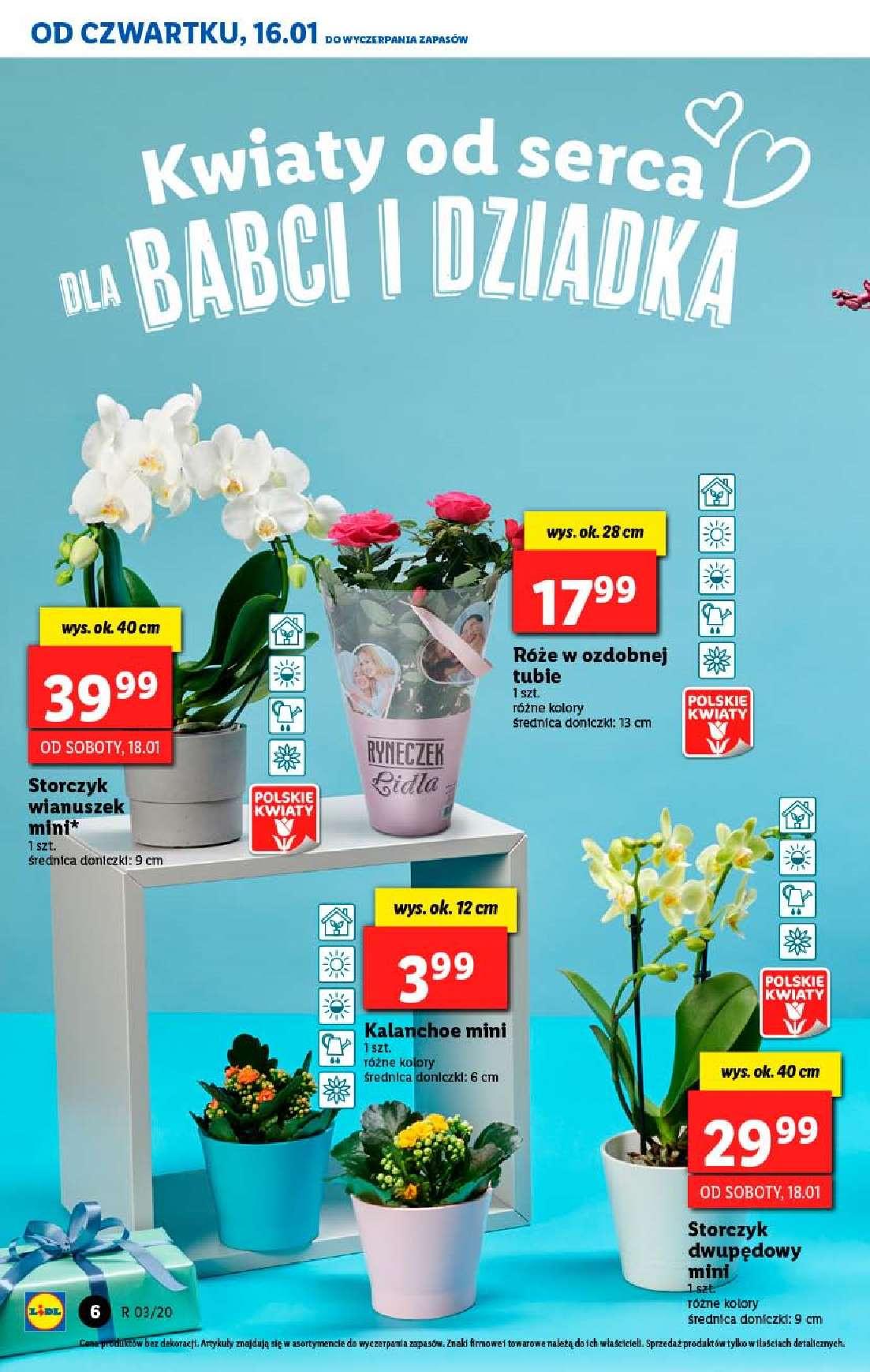 Gazetka promocyjna Lidl str. 6