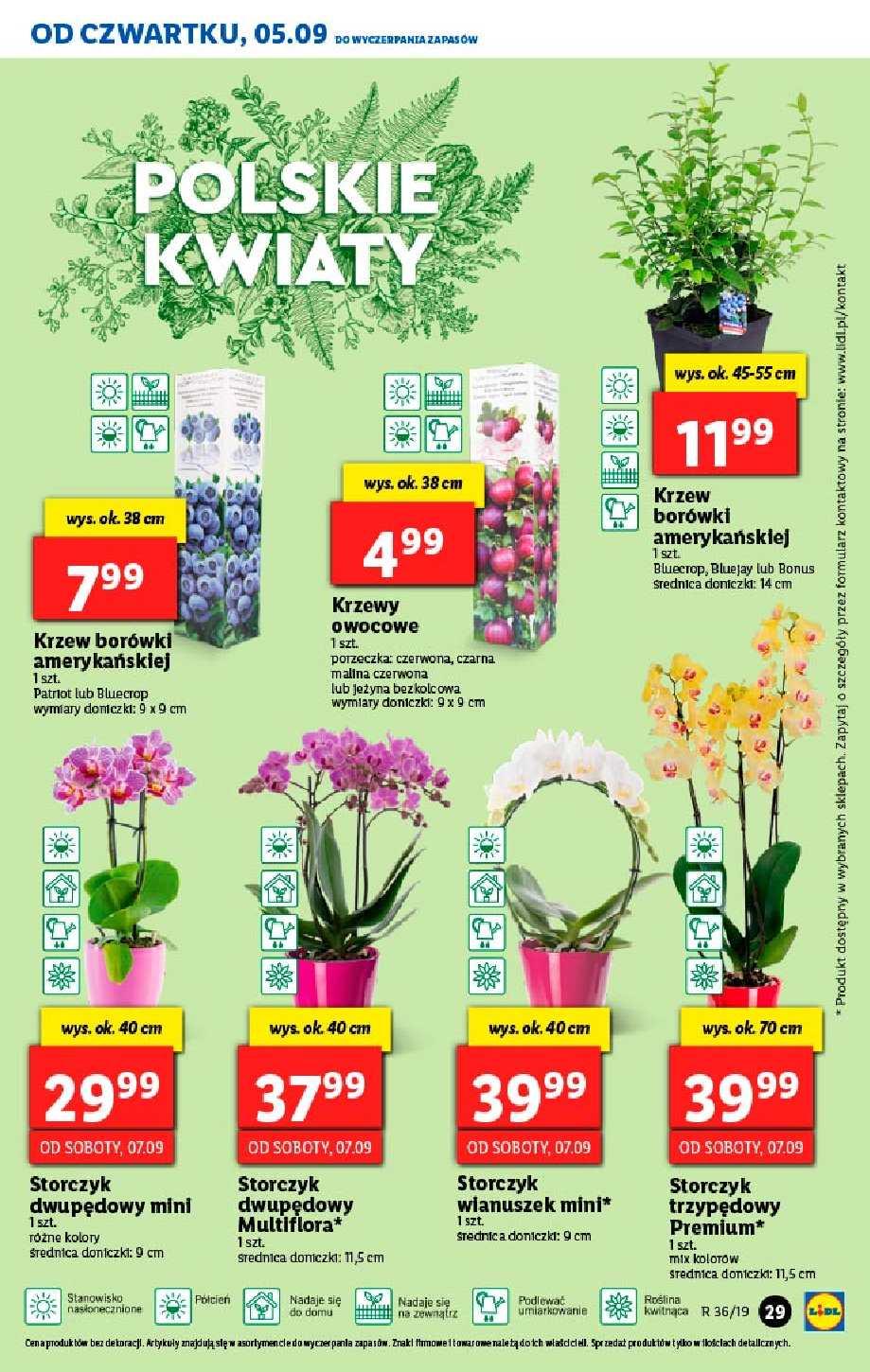 Gazetka promocyjna Lidl str. 29