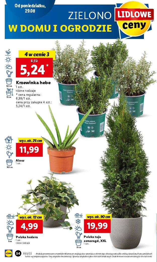 Gazetka promocyjna Lidl str. 54