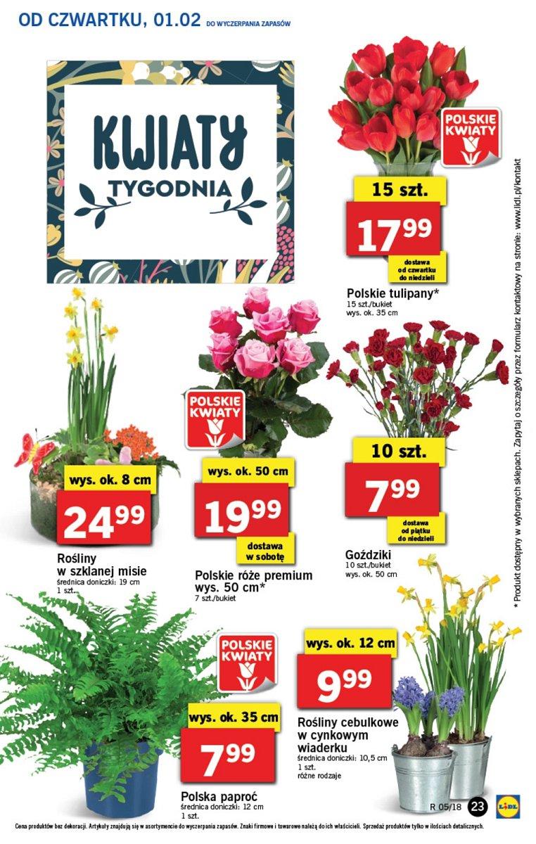 Gazetka promocyjna Lidl str. 23