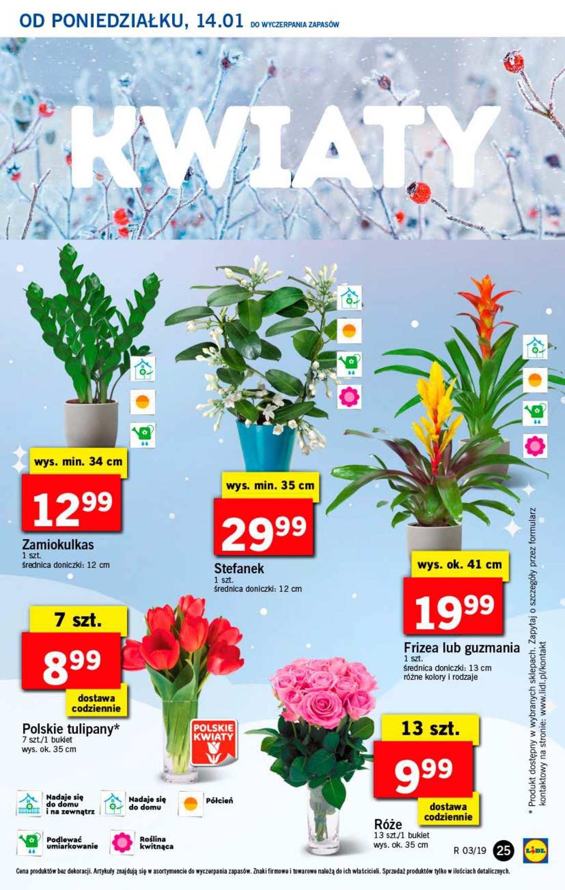 Gazetka promocyjna Lidl str. 25