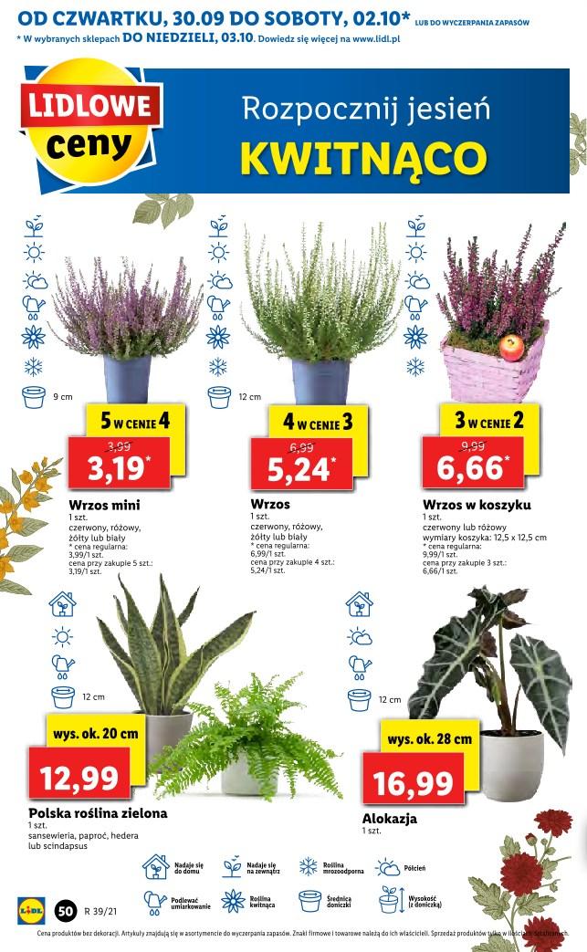 Gazetka promocyjna Lidl str. 46
