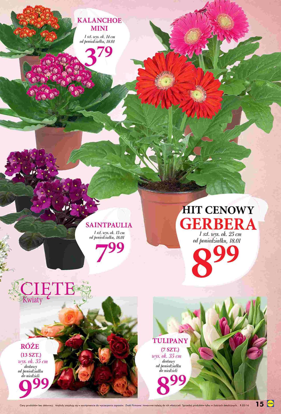 Gazetka promocyjna Lidl str. 15