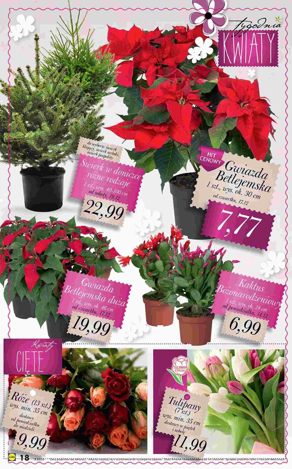 Gazetka promocyjna Lidl str. 18