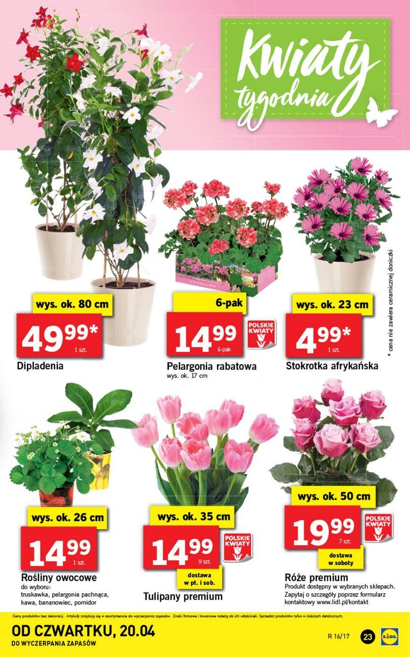 Gazetka promocyjna Lidl str. 23