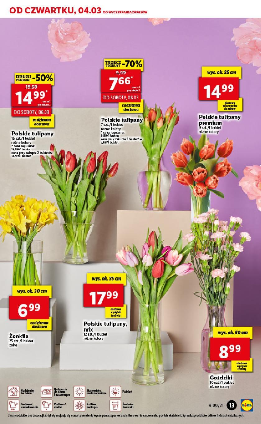 Gazetka promocyjna Lidl str. 13