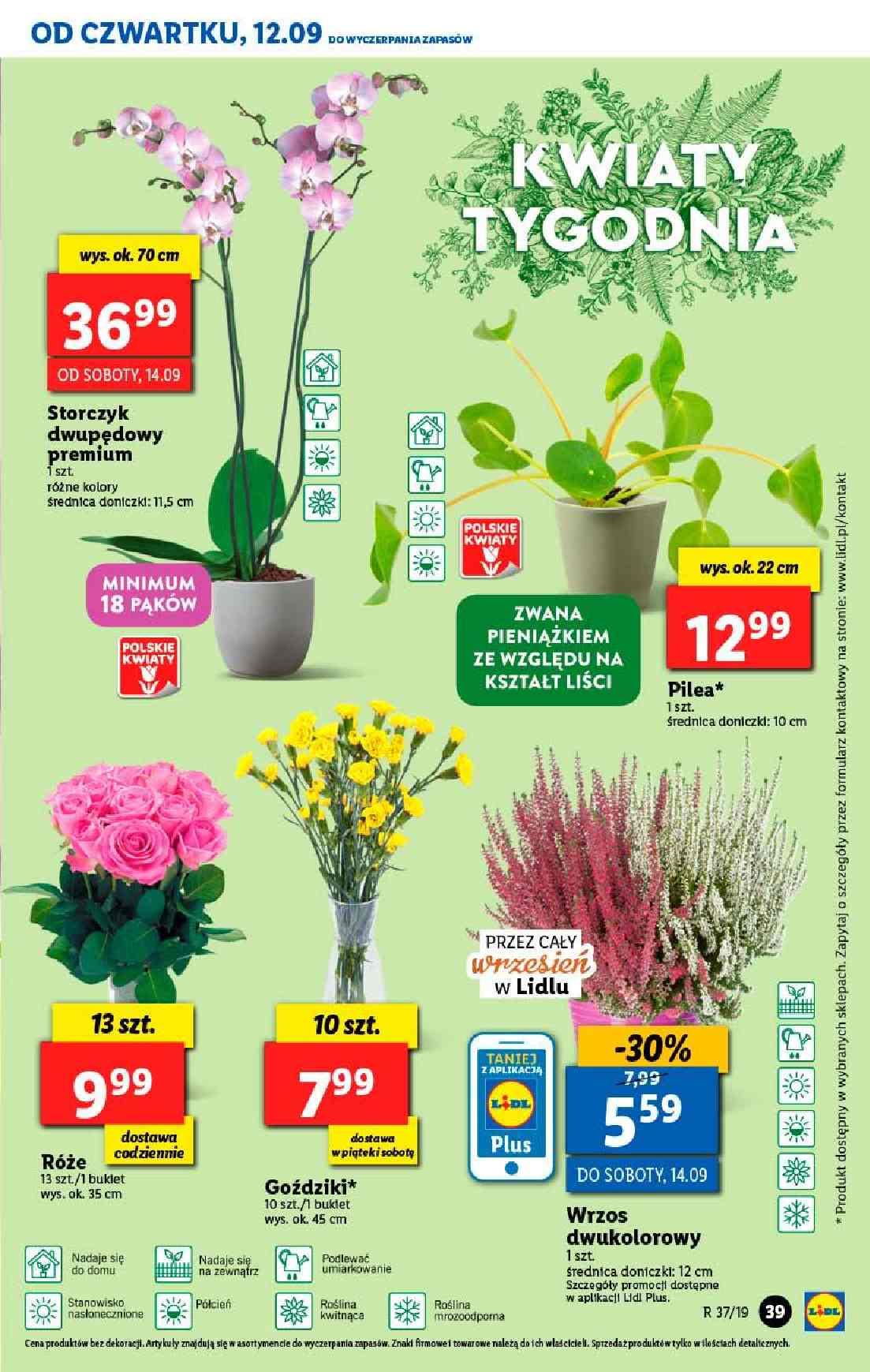 Gazetka promocyjna Lidl str. 39