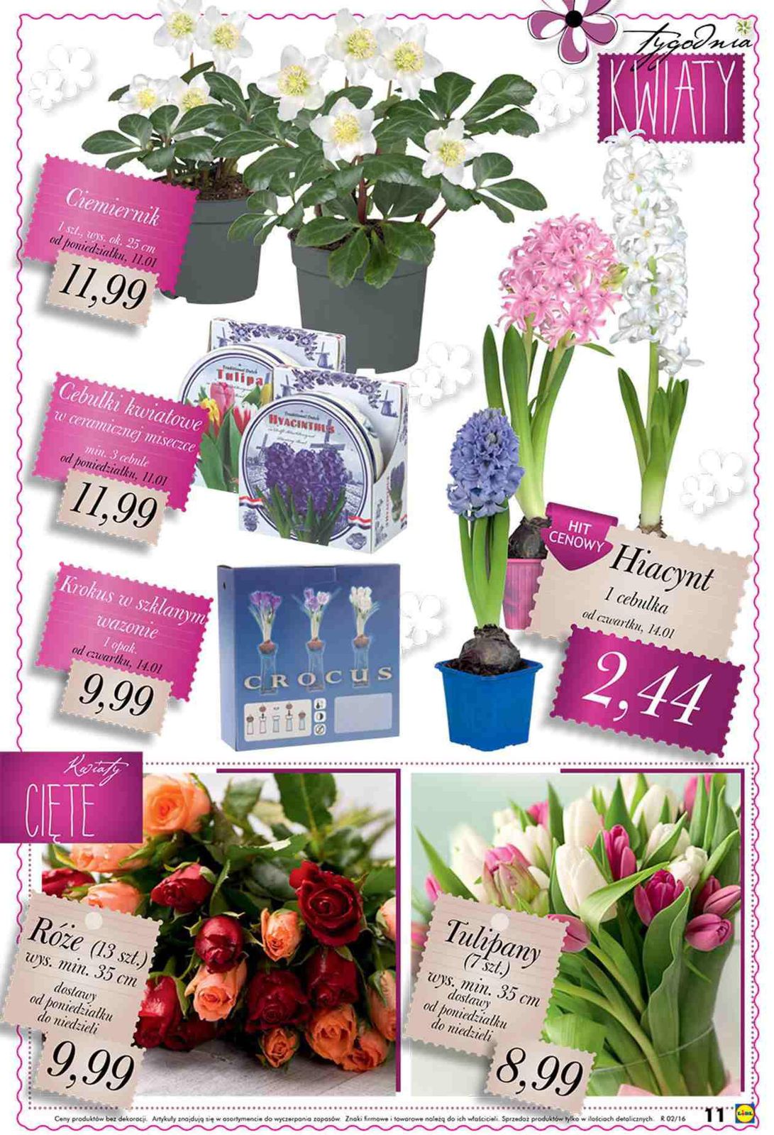 Gazetka promocyjna Lidl str. 11