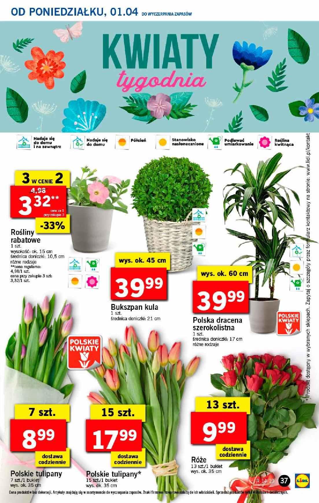 Gazetka promocyjna Lidl str. 37
