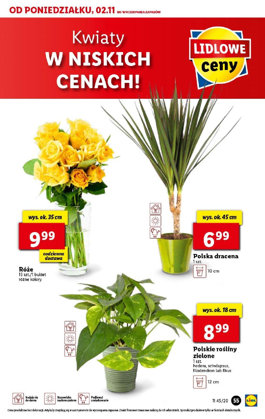 Gazetka promocyjna Lidl str. 55