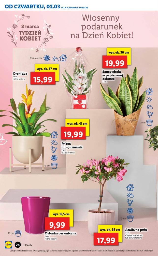 Gazetka promocyjna Lidl str. 24