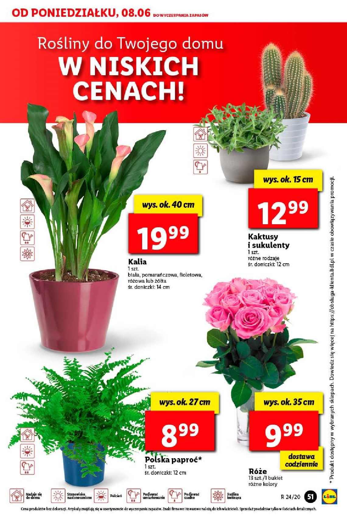 Gazetka promocyjna Lidl str. 51