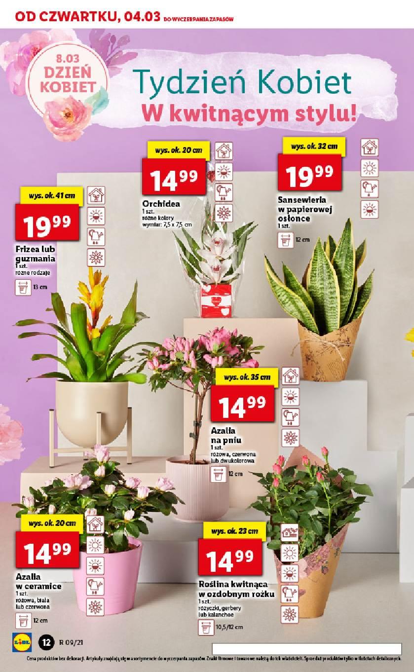 Gazetka promocyjna Lidl str. 12