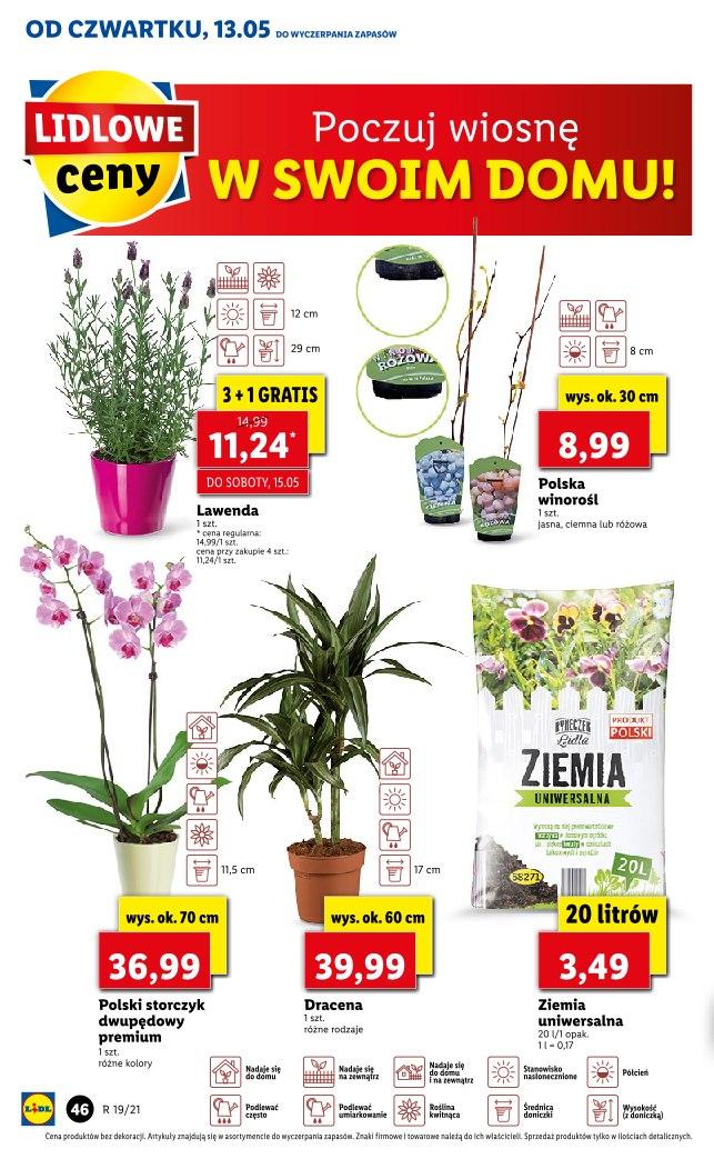 Gazetka promocyjna Lidl str. 46