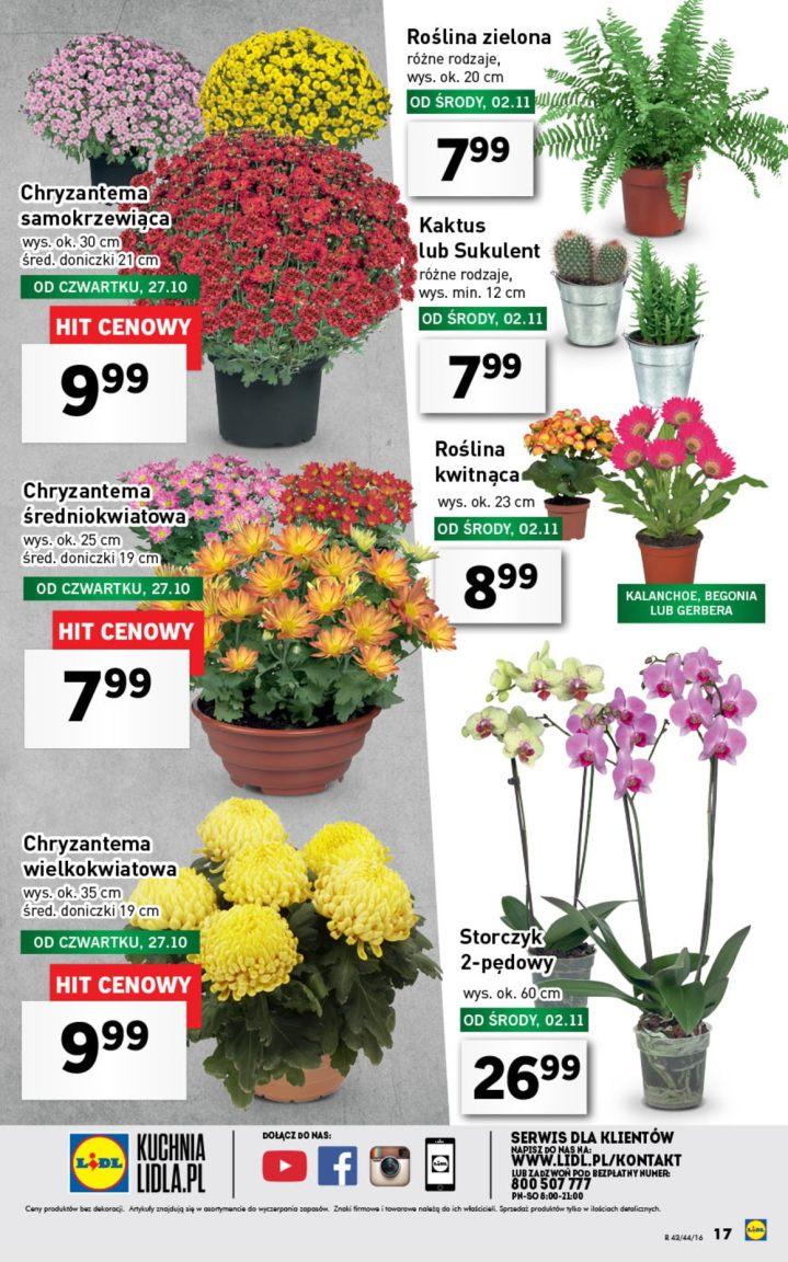 Gazetka promocyjna Lidl str. 17