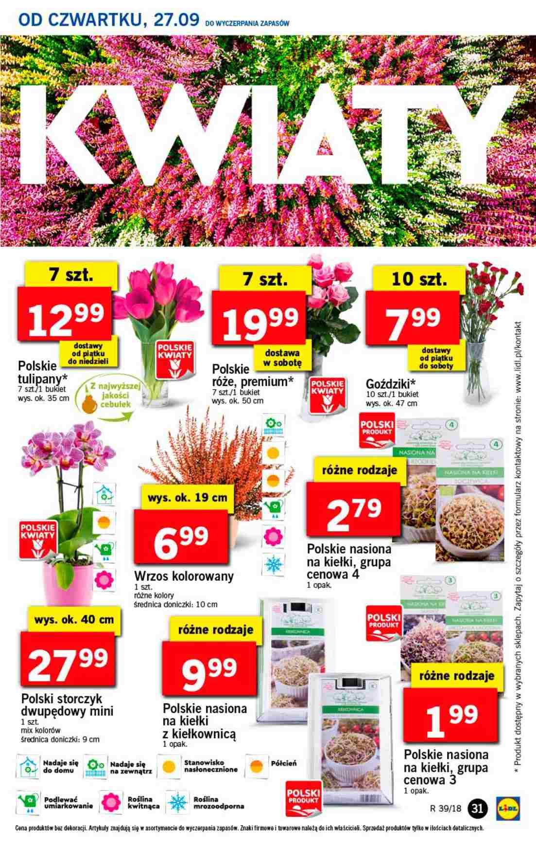 Gazetka promocyjna Lidl str. 31