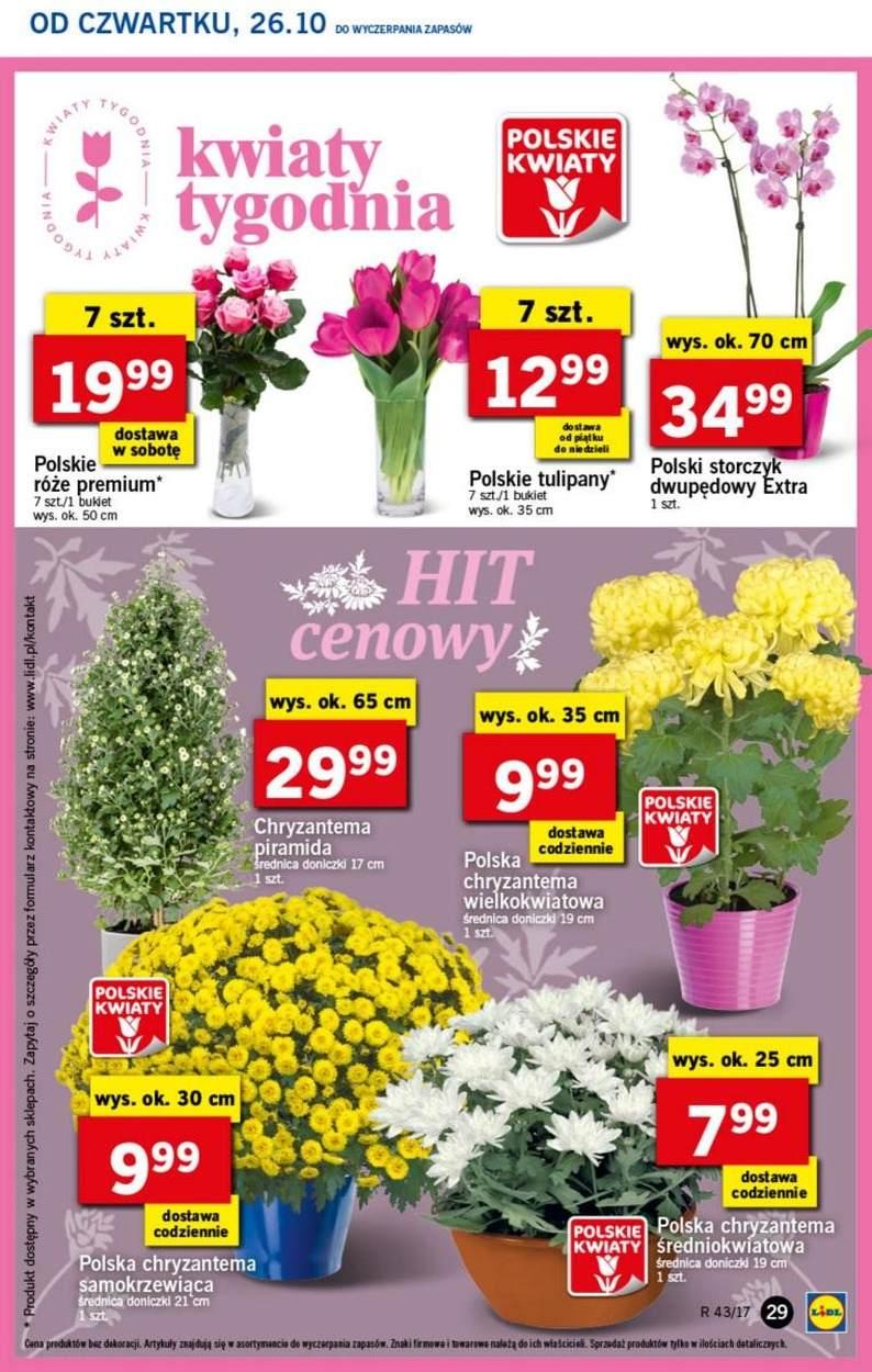 Gazetka promocyjna Lidl str. 29