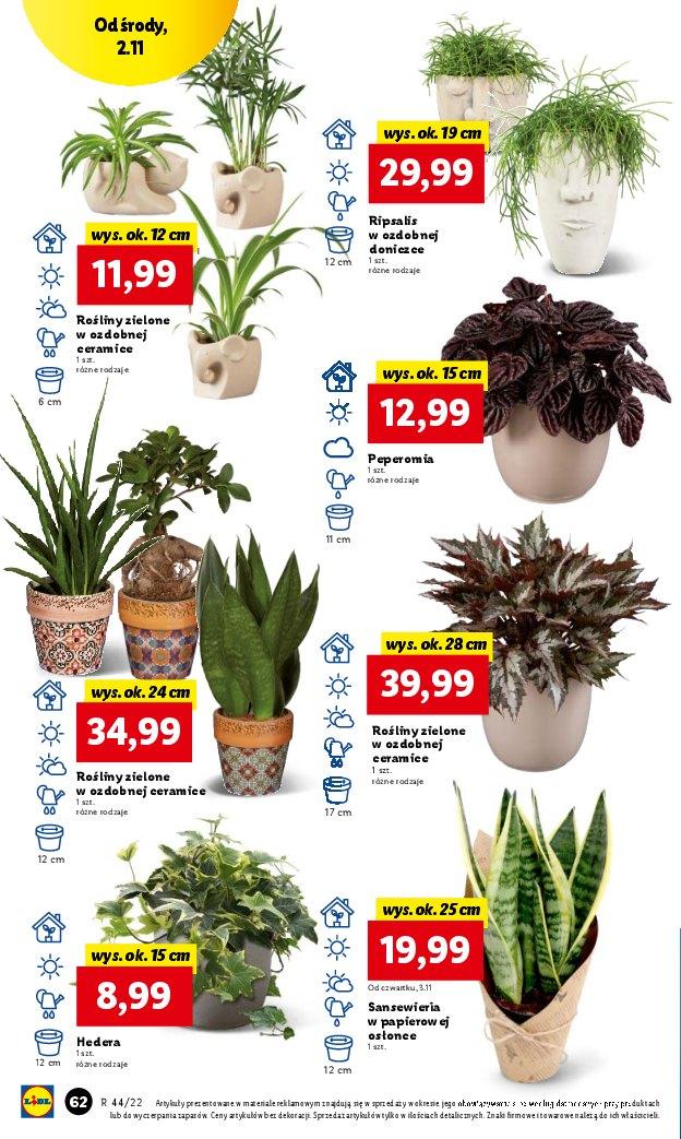 Gazetka promocyjna Lidl str. 62