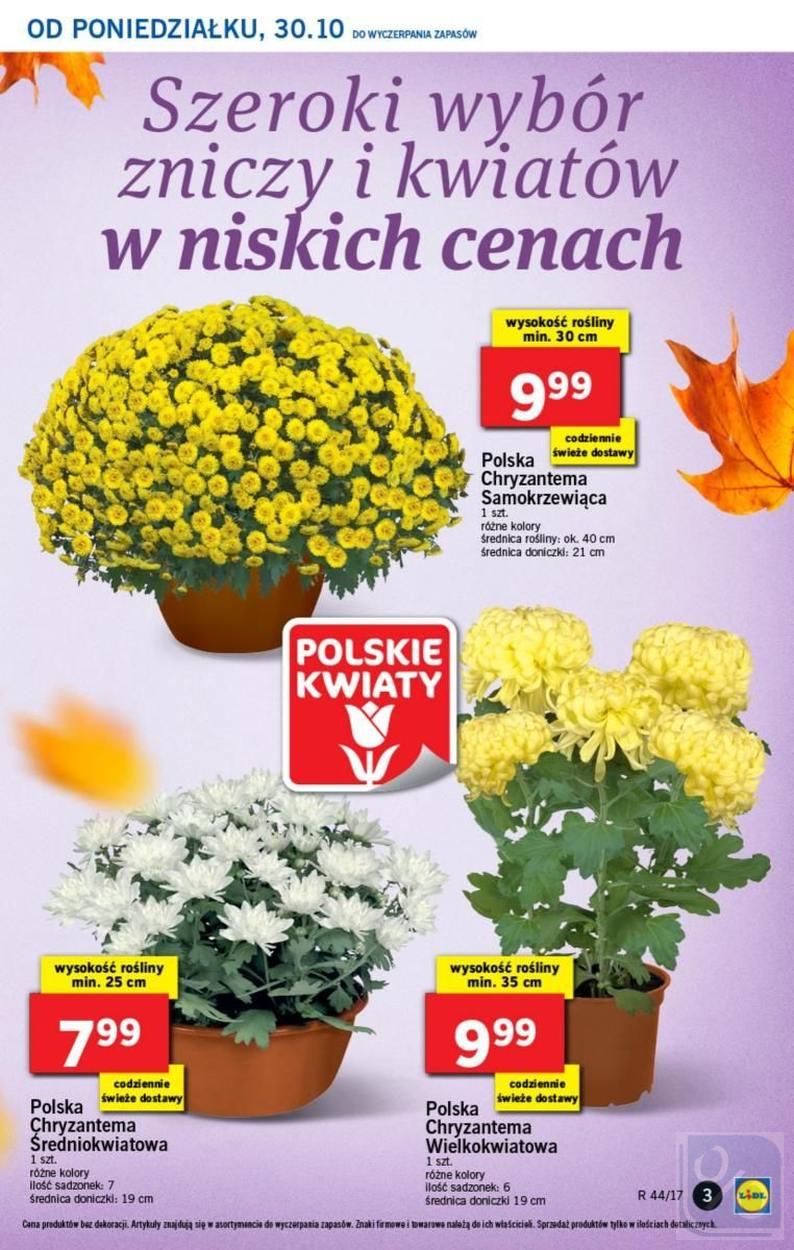 Gazetka promocyjna Lidl str. 3