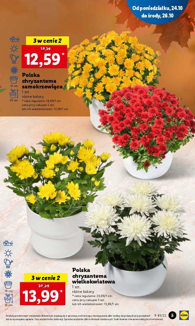 Gazetka promocyjna Lidl str. 5