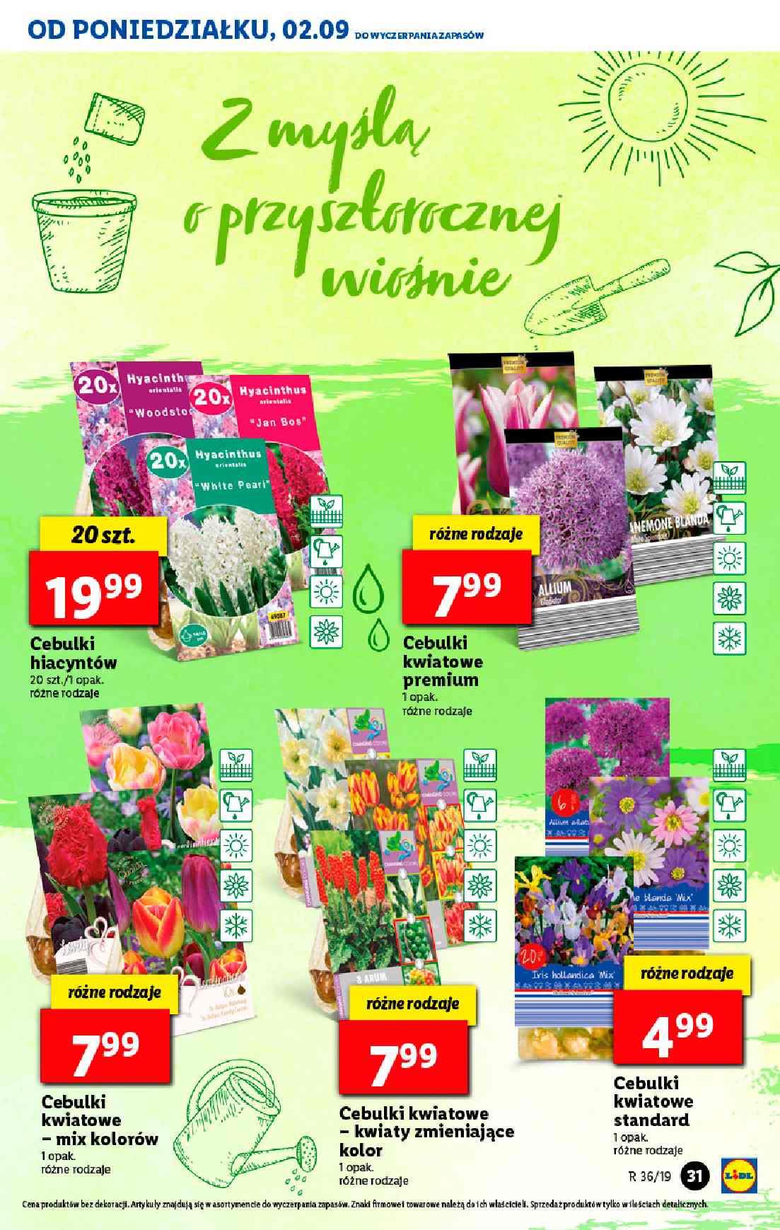 Gazetka promocyjna Lidl str. 31