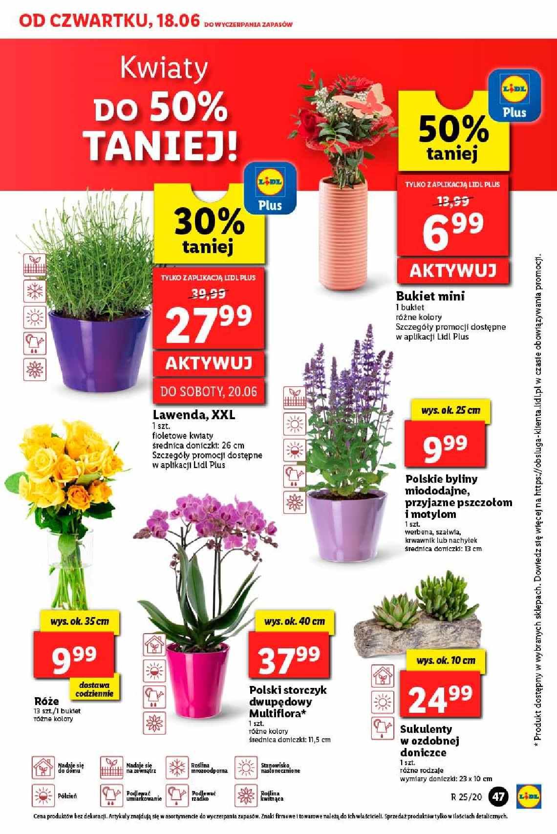 Gazetka promocyjna Lidl str. 47