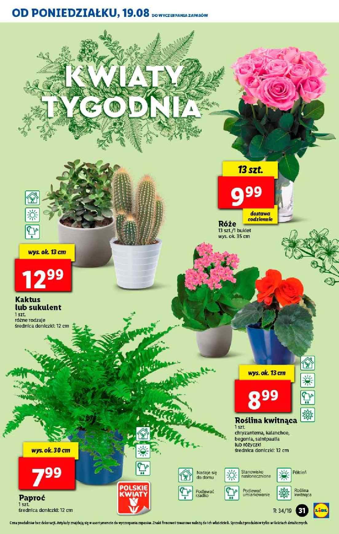 Gazetka promocyjna Lidl str. 31