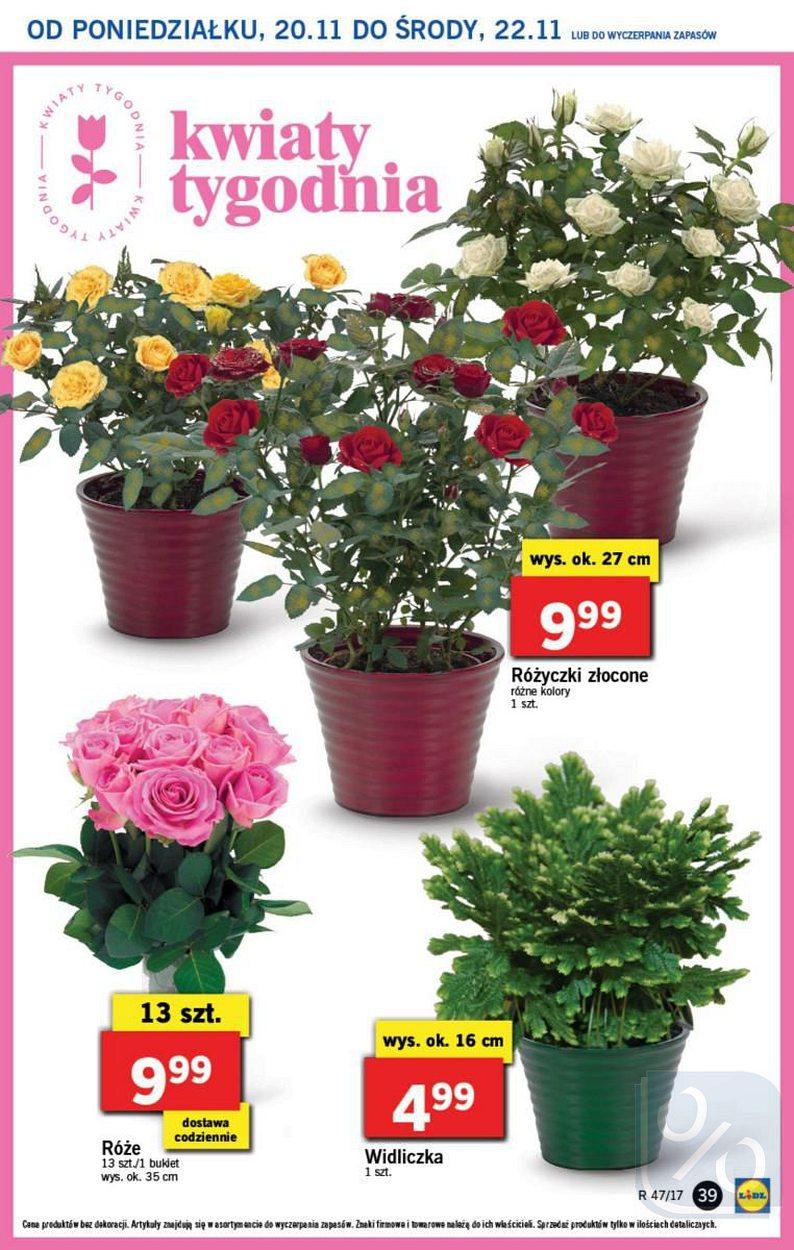 Gazetka promocyjna Lidl str. 39
