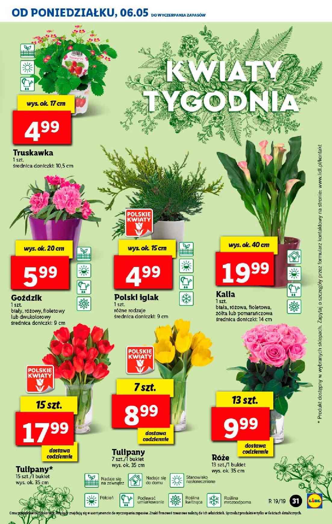 Gazetka promocyjna Lidl str. 31