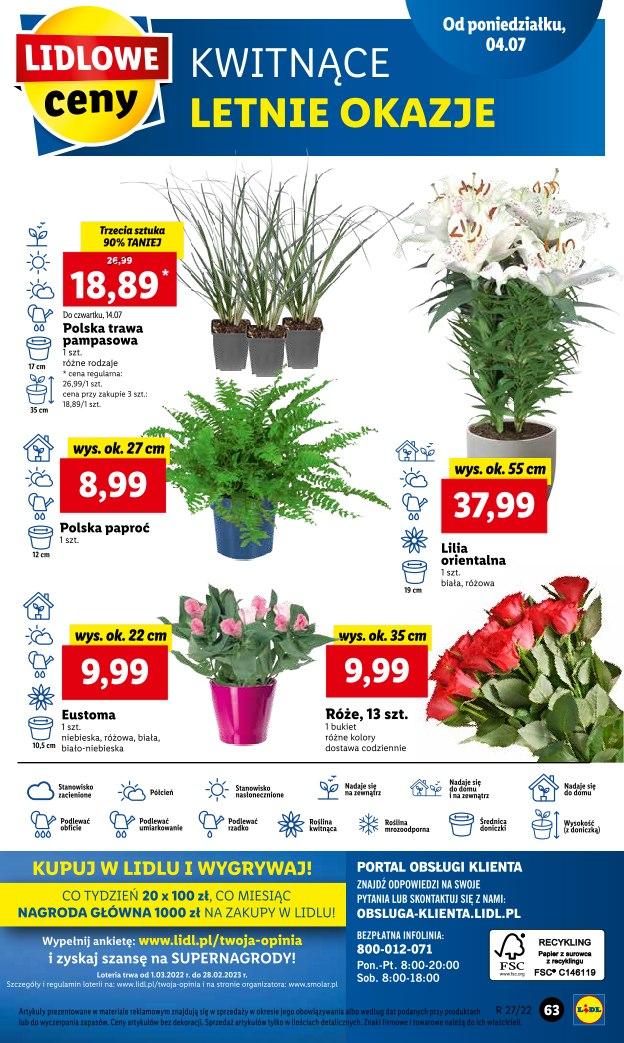 Gazetka promocyjna Lidl str. 63